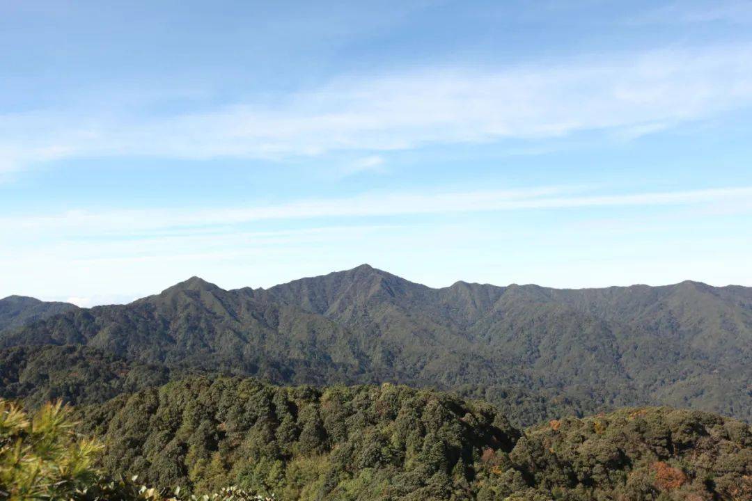 有关哀牢山，最新规定——