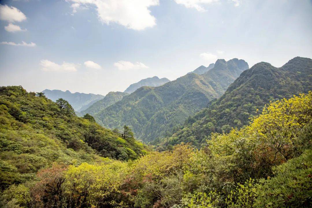 有关哀牢山，最新规定——
