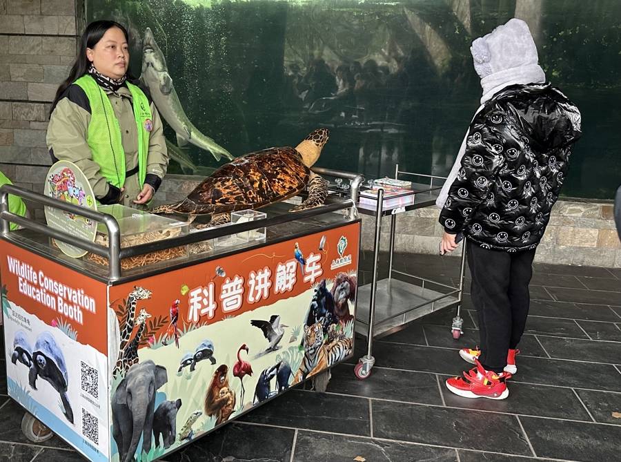 蛇与蛙竟是“好室友”，上海唯一一种毒蛇也在此……快来上海动物园看蛇