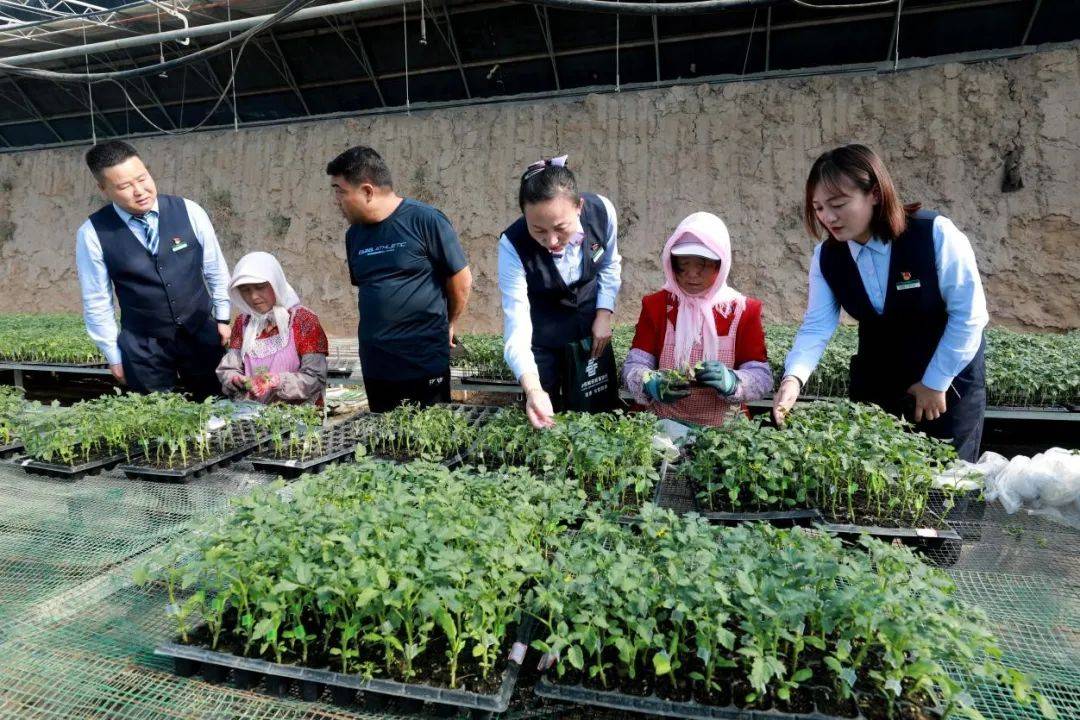不误农时不负春 邮储银行助力农业生产开新局