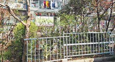 安徽蚌埠市蚌山区——小区公共绿地被私人圈占（曝光）