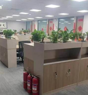 “假装上班公司”悄然兴起 记者实地调查