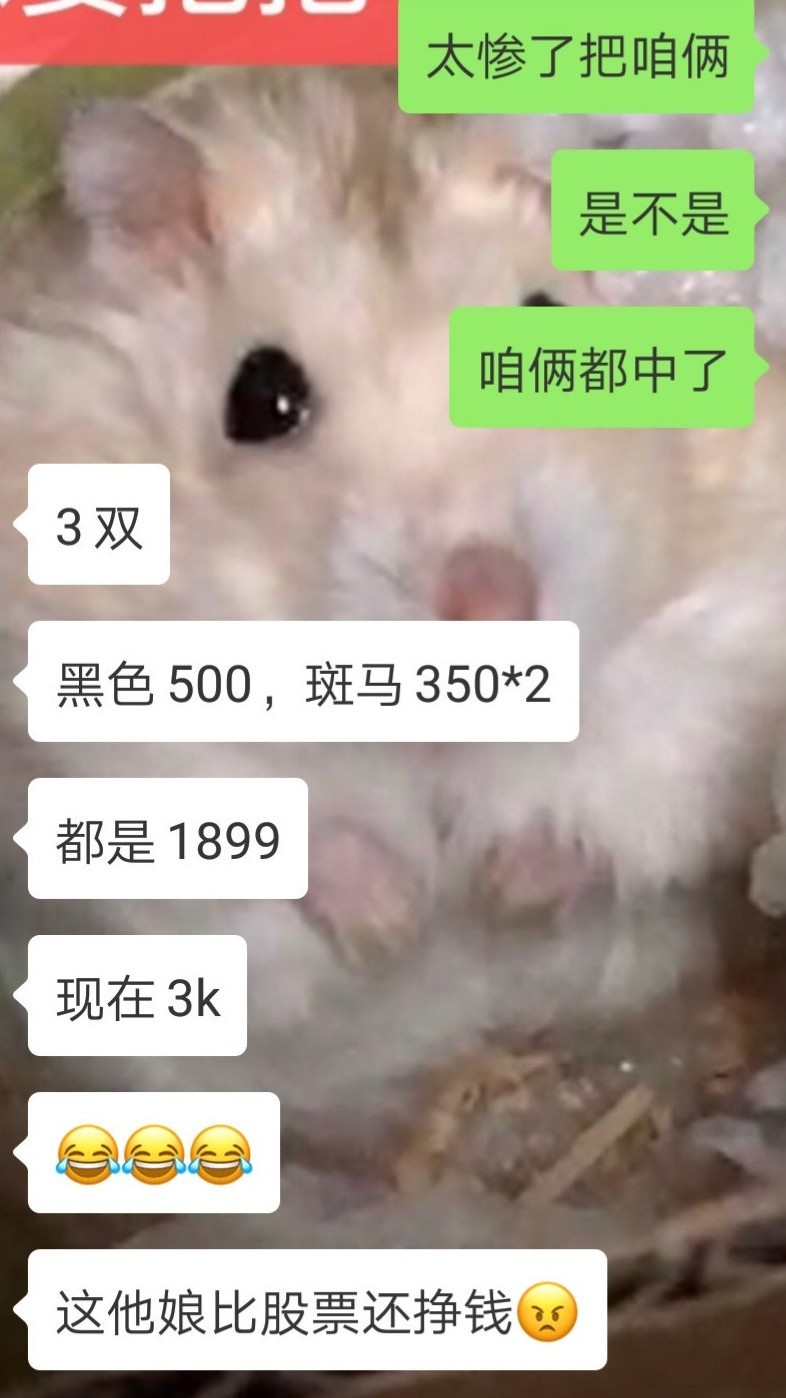 炒币的人(炒币的人后来都怎么样了)