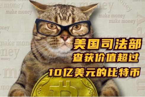 币猫(币猫定投)