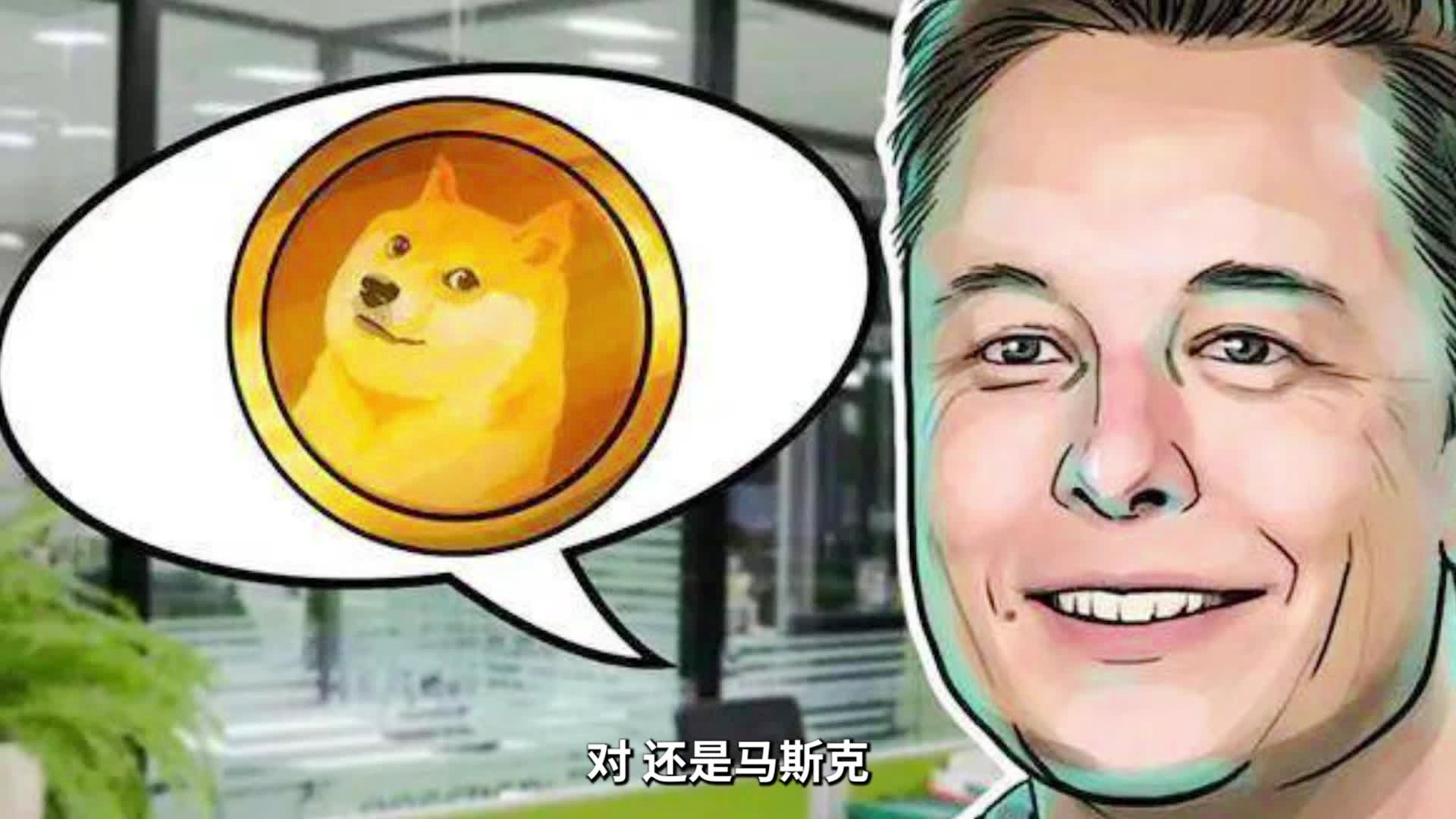 屎币(屎币未来能涨到多少)
