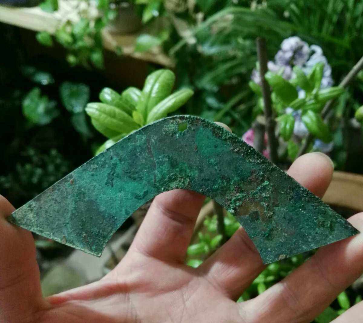 罄币(罄币图片价格)
