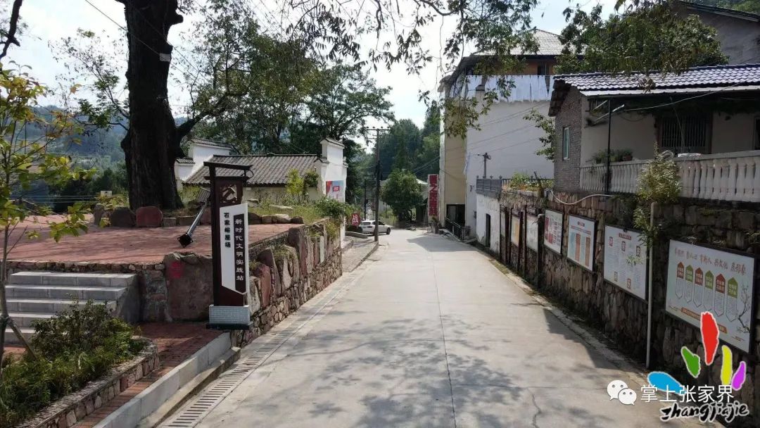 币村(币村地名网)