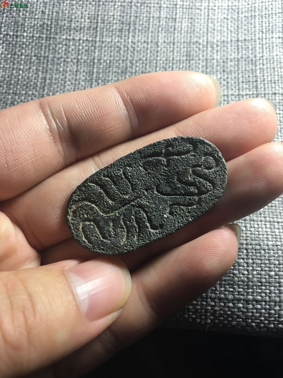 龟币(龟兔赛跑的故事)