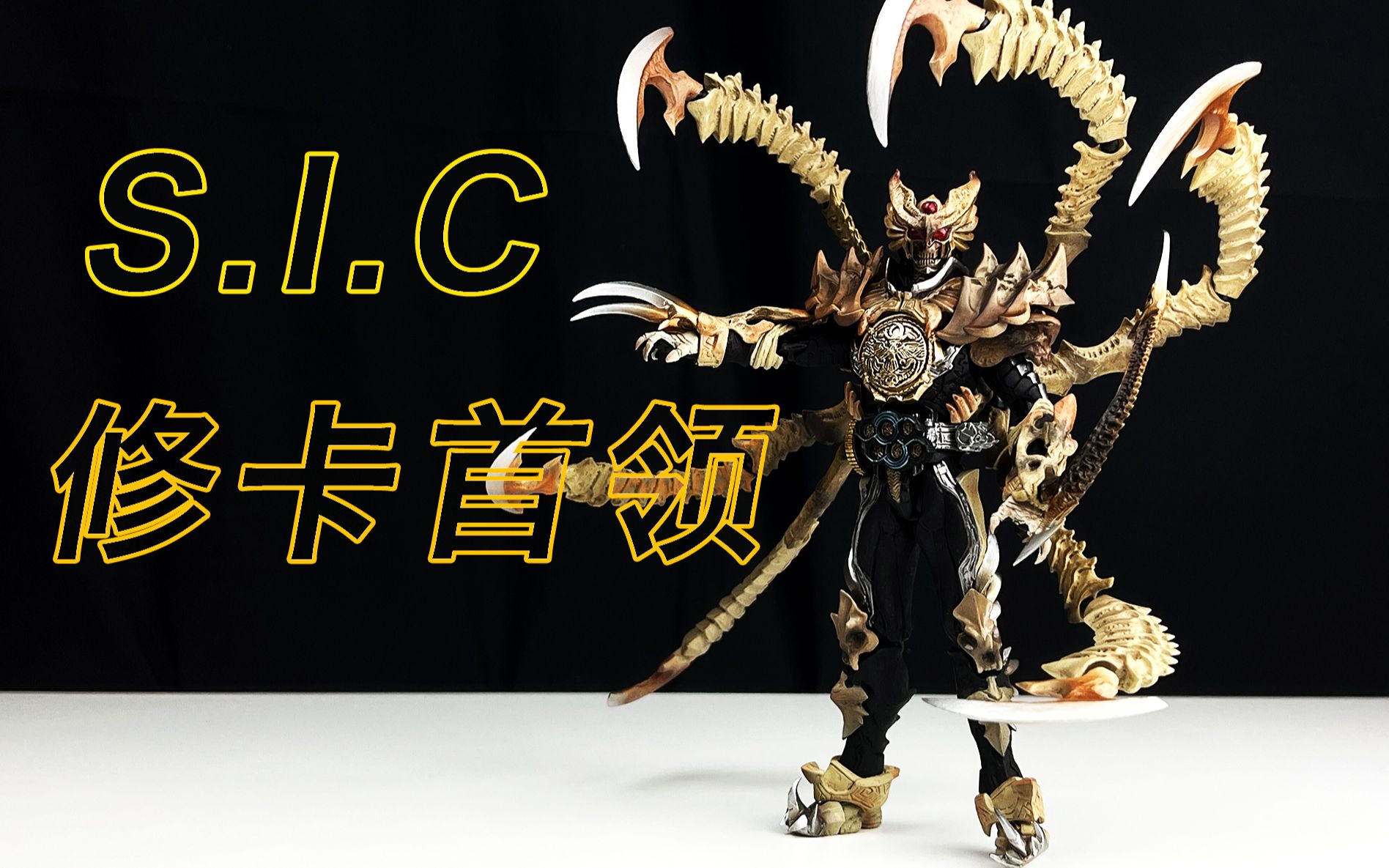 sic币(sic表面张力系数)