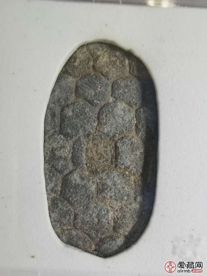 乌龟币(乌龟币怎么获得)
