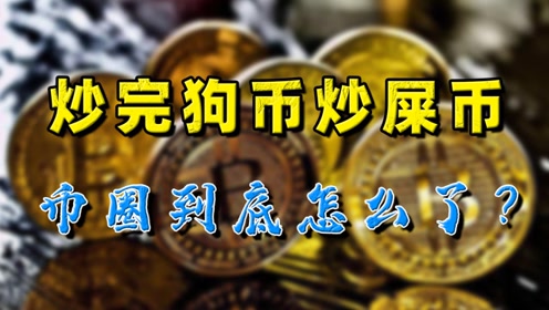 币圈视频(币圈视频直播哪个平台多)