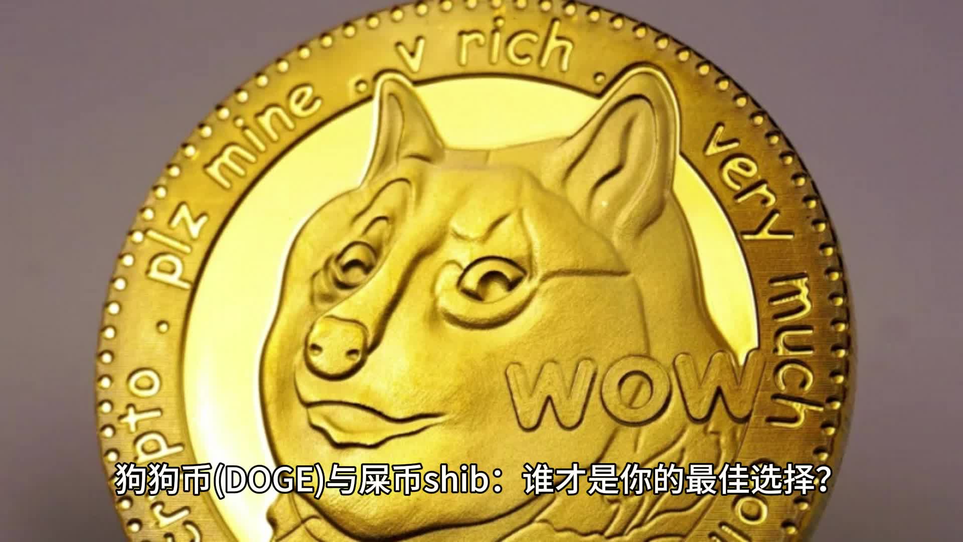 屎币(屎币最新价格)