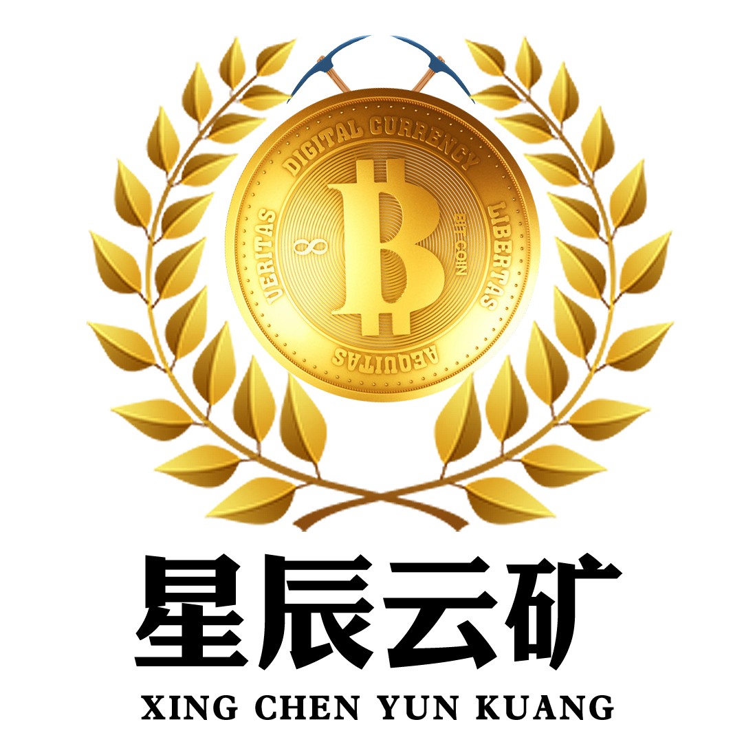 恒币网(横滨水手)